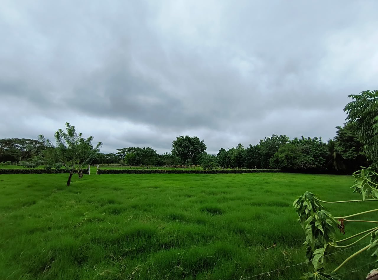 Casa finca en venta | Cereté – Zona rural · Corregimiento Martínez