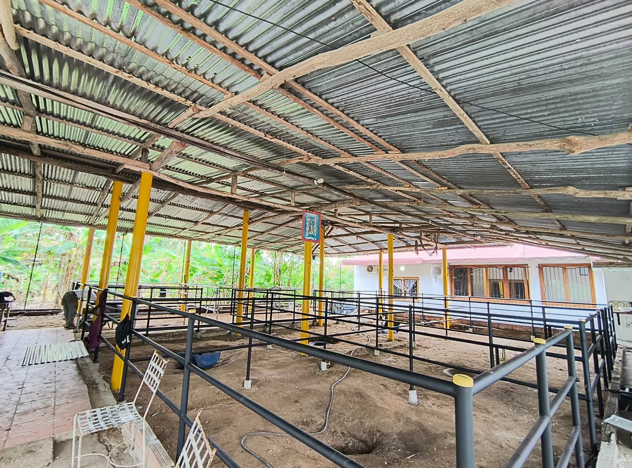 Casa finca en venta | Cereté – Zona rural · Corregimiento Martínez