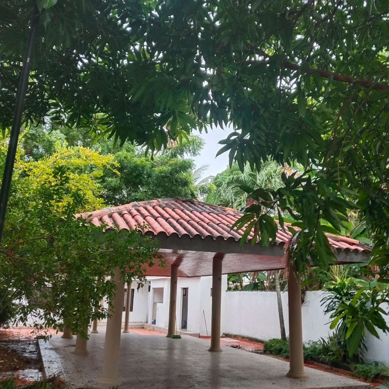Casa en venta | Cereté – Corregimiento Martínez