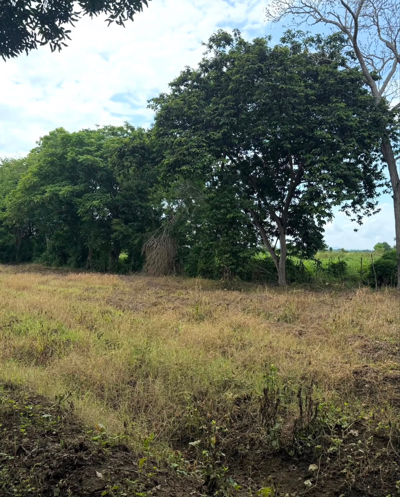 Lote Estratégico en Venta 1 ha | A 250 metros del Aeropuerto Los Garzones — Montería, Córdoba