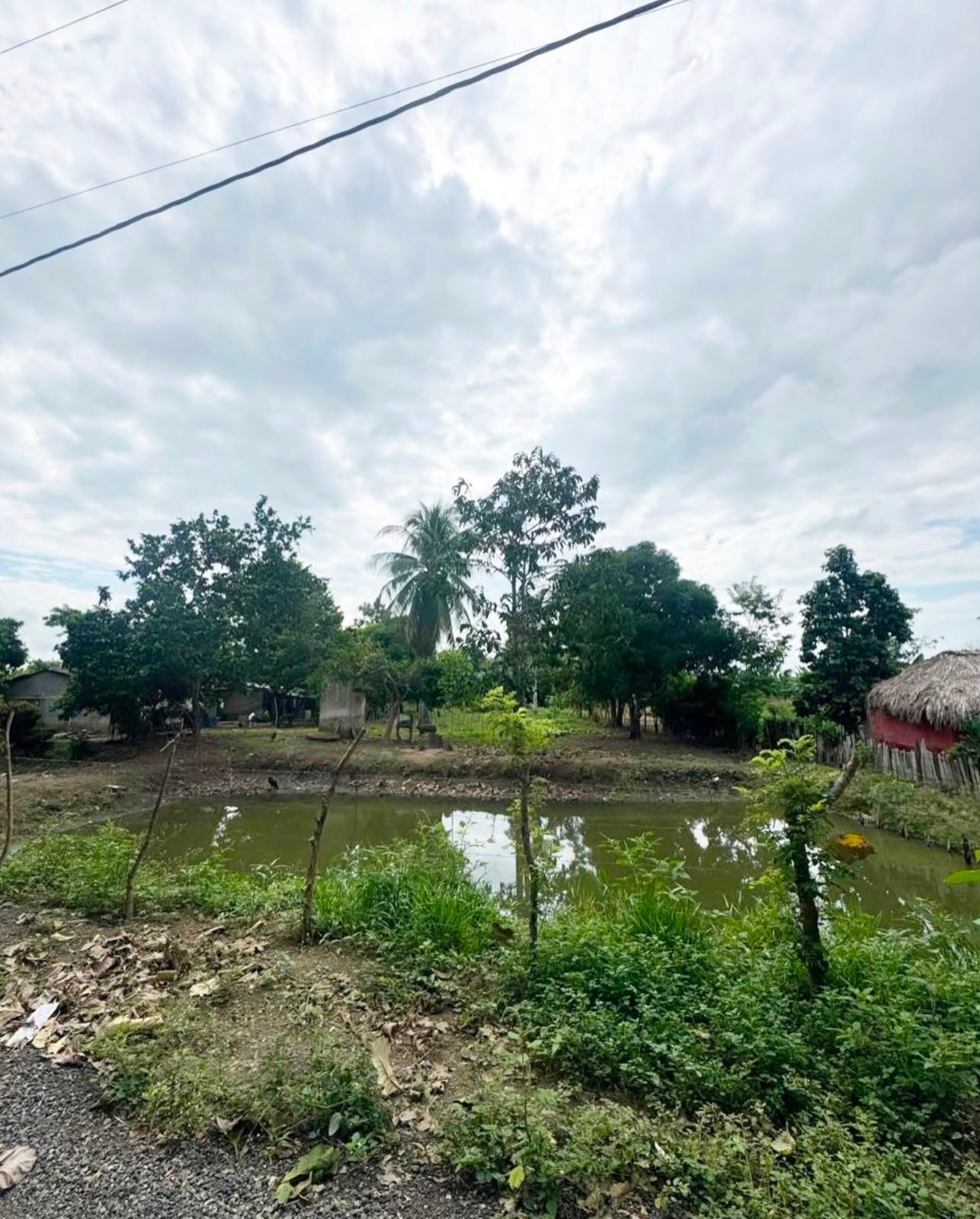 Lote Estratégico en Venta 1 ha | A 250 metros del Aeropuerto Los Garzones — Montería, Córdoba
