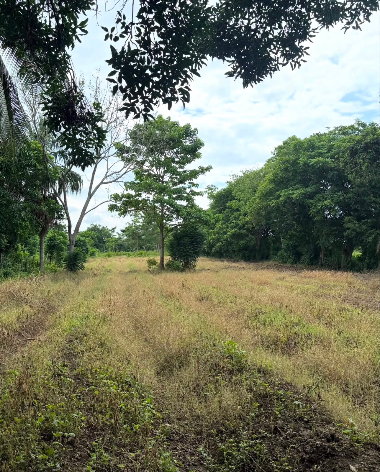 Lote Estratégico en Venta 1 ha | A 250 metros del Aeropuerto Los Garzones — Montería, Córdoba