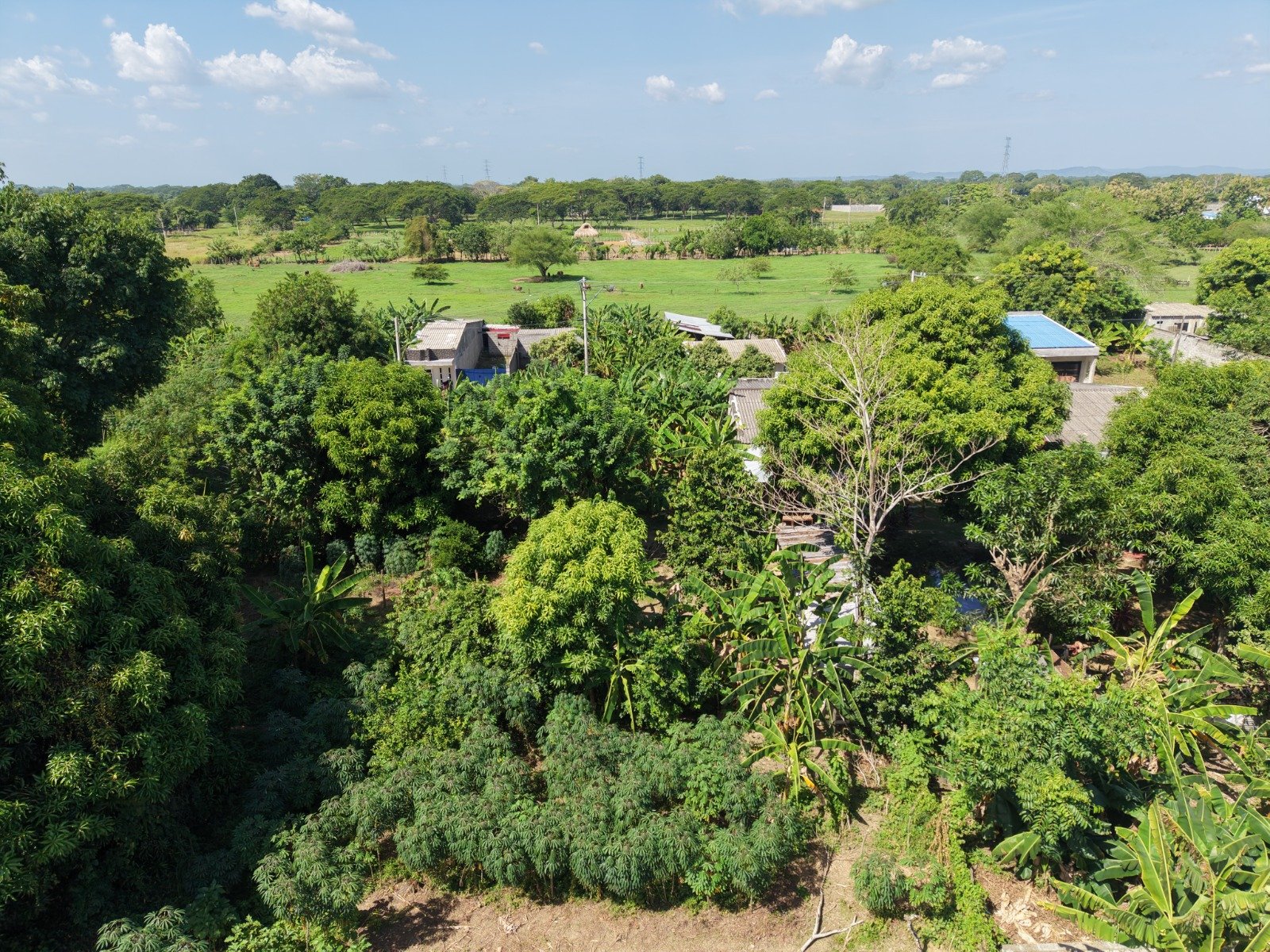 Venta finca 4 hectáreas frente al mar en Puerto Escondido – Córdoba