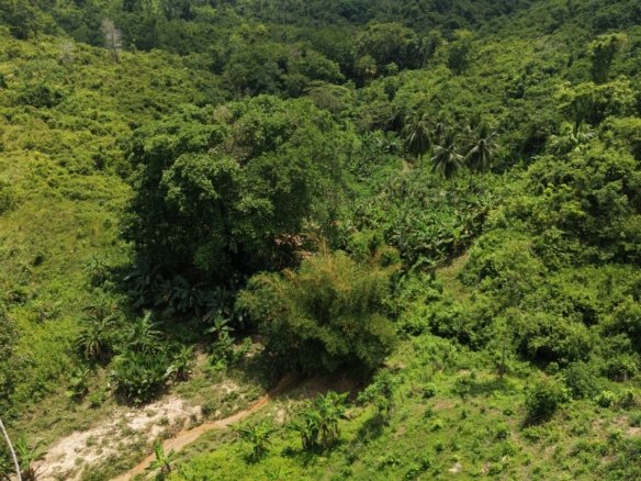 VENTA FINCA GANADERA 40 HECTAREAS EN GUACHARACAL, SAN CARLOS, CORDOBA