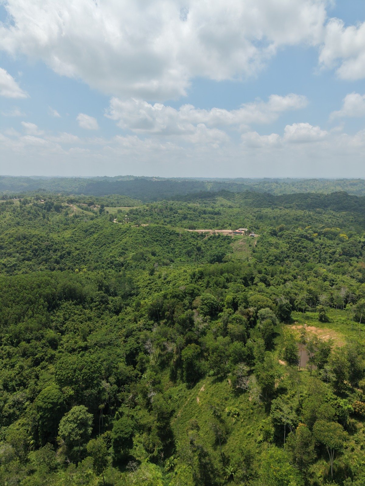 VENTA FINCA GANADERA 40 HECTAREAS EN GUACHARACAL, SAN CARLOS, CORDOBA